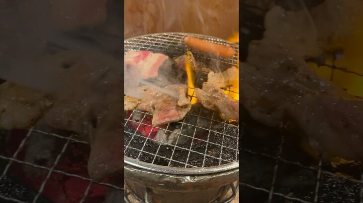 飯テロ。一人焼肉のときの音あり。